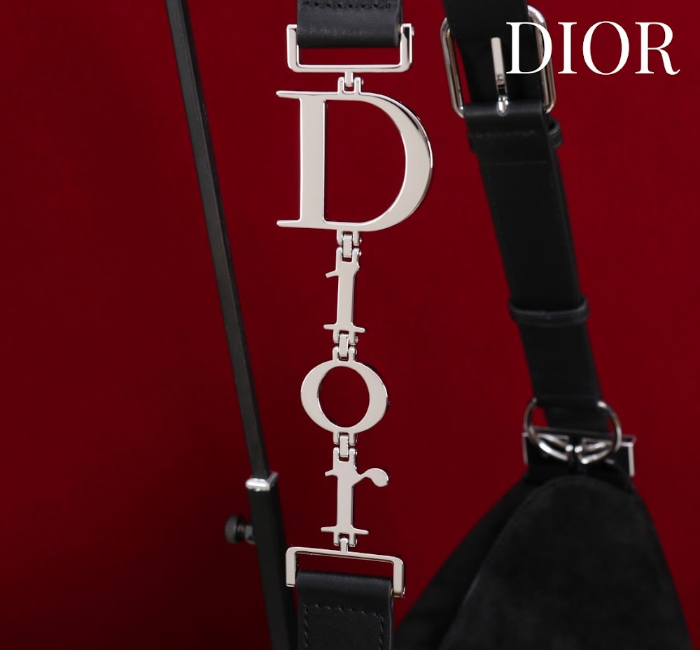 Dragons BagsDiorn Luxury Bag --115359