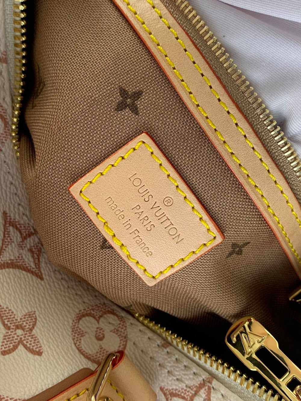 Dragons Bags ln Luxury Bag --67764