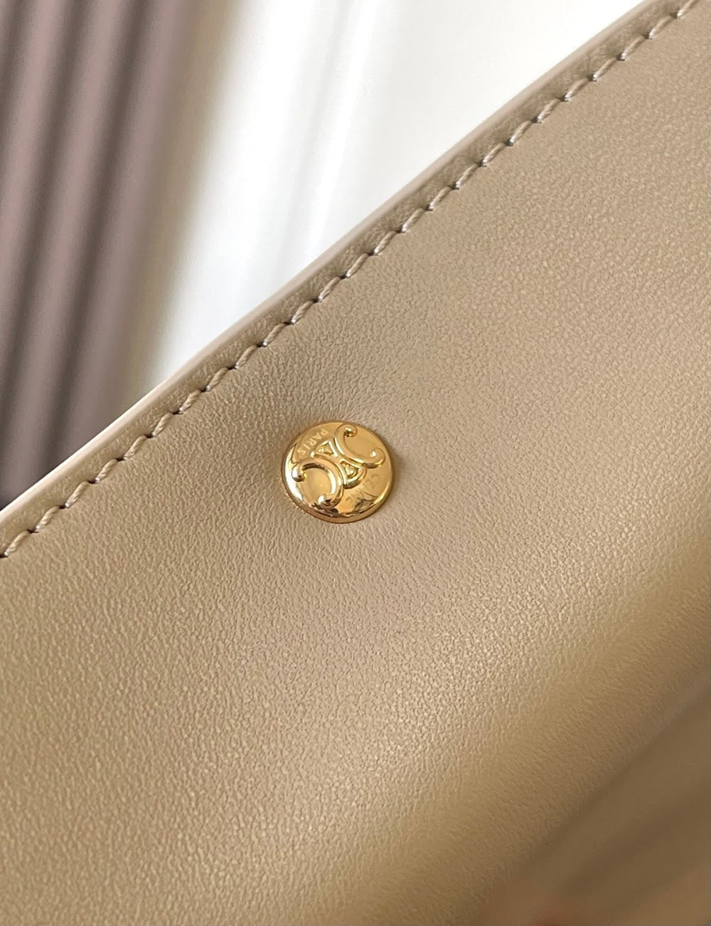 Dragons Bags Celine Luxury Bag --112652