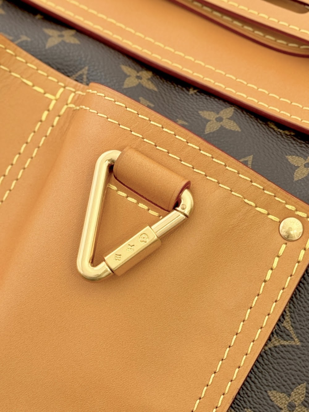 Dragons Bags ln Luxury Bag --96300