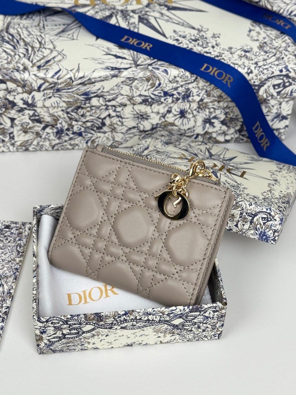 Dragons BagsDiorn Luxury Bag --115111
