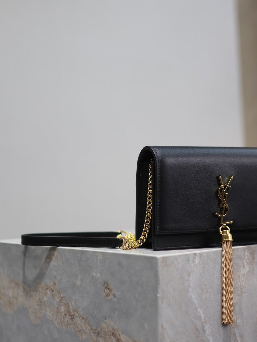 Dragons Bags YSLn Luxury Bag --119144
