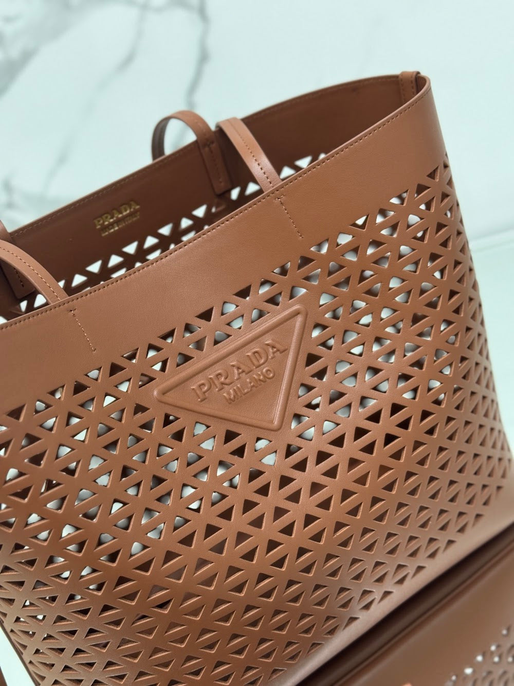Dragons Bags Pradn Luxury Bag --101904