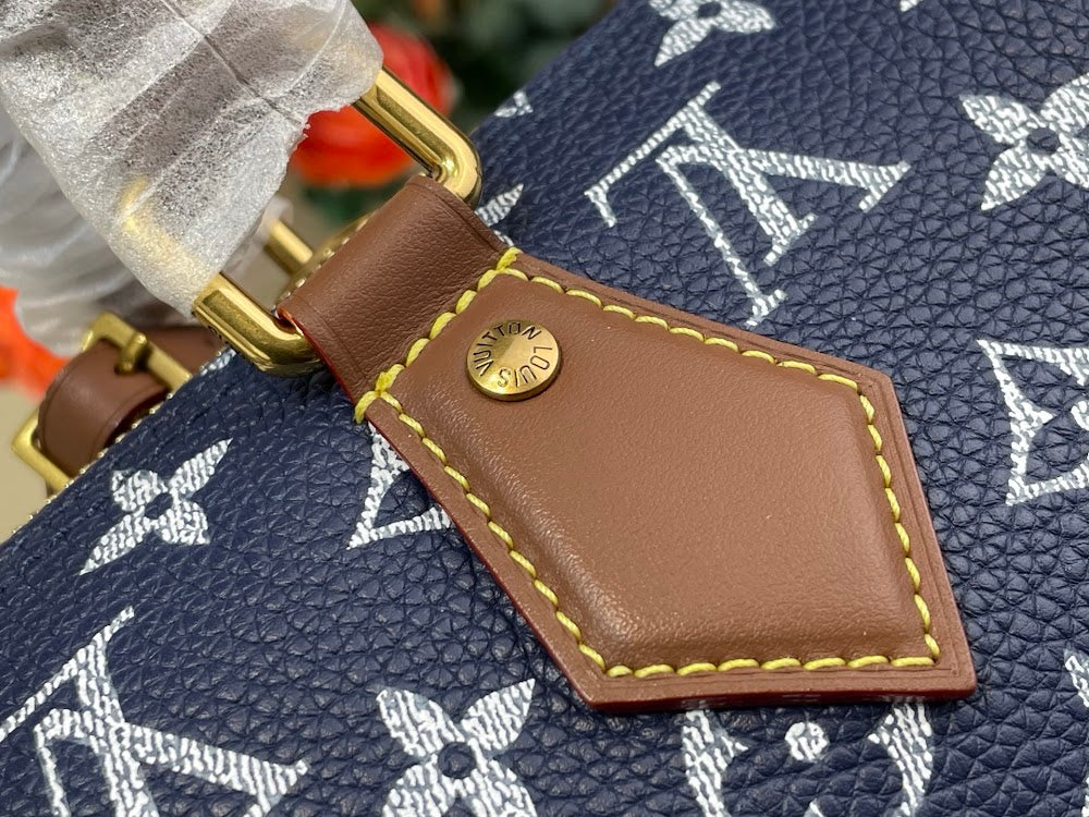 Dragons Bags ln Luxury Bag --95648