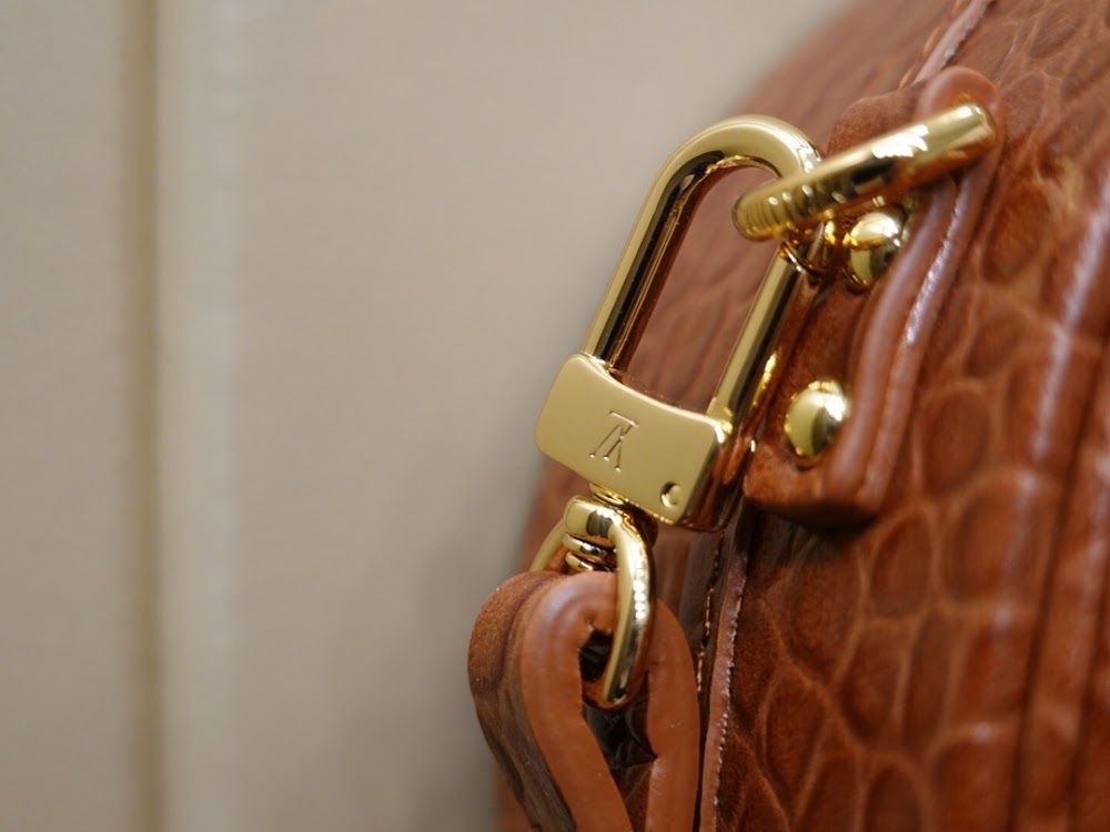 Dragons Bags ln Luxury Bag --60228