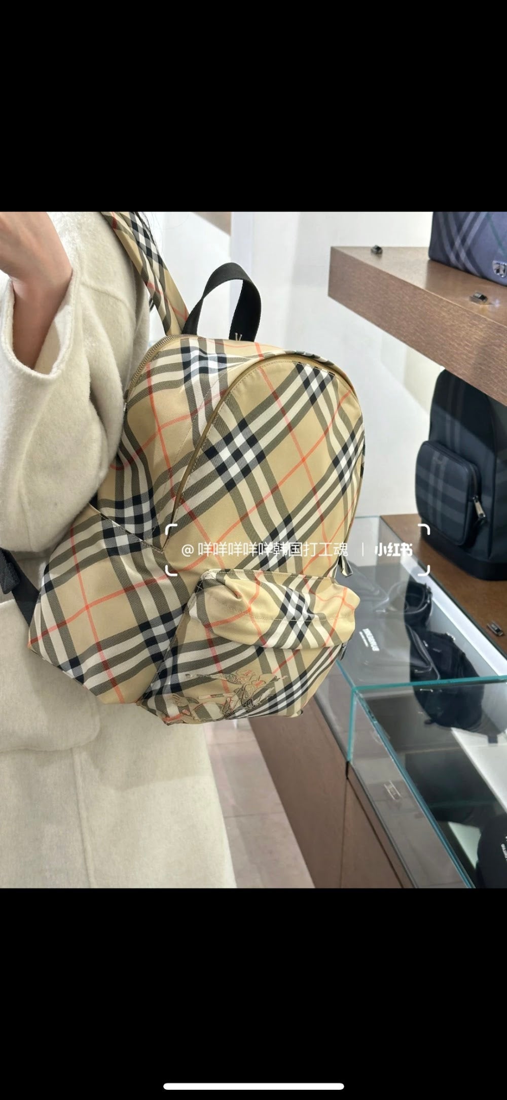 Dragons Bags Burberryn Luxury Bag --91667