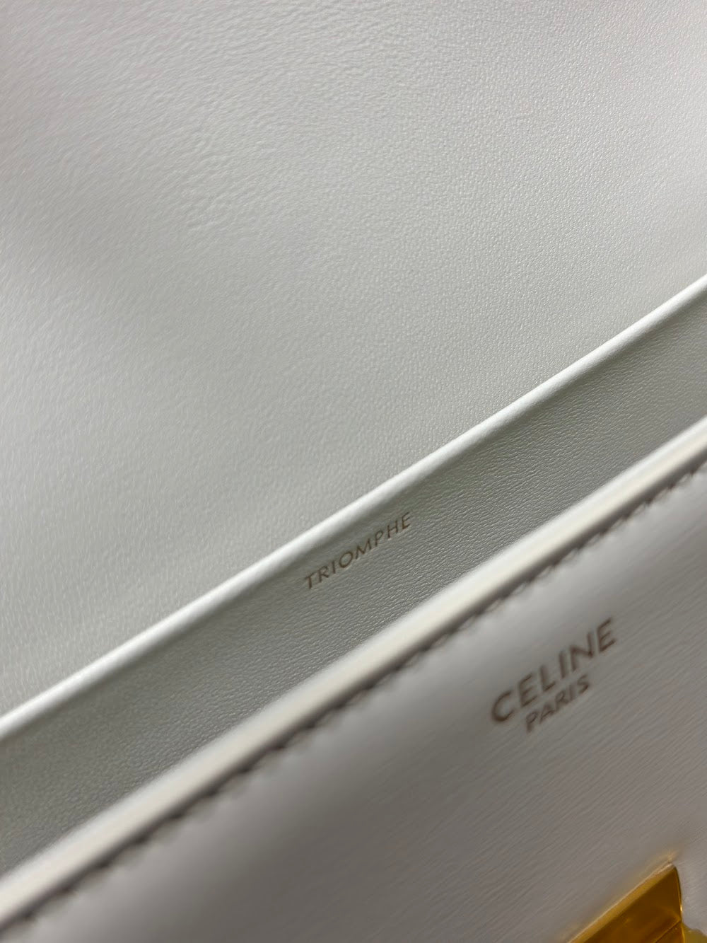 Dragons Bags Celine Luxury Bag --112538