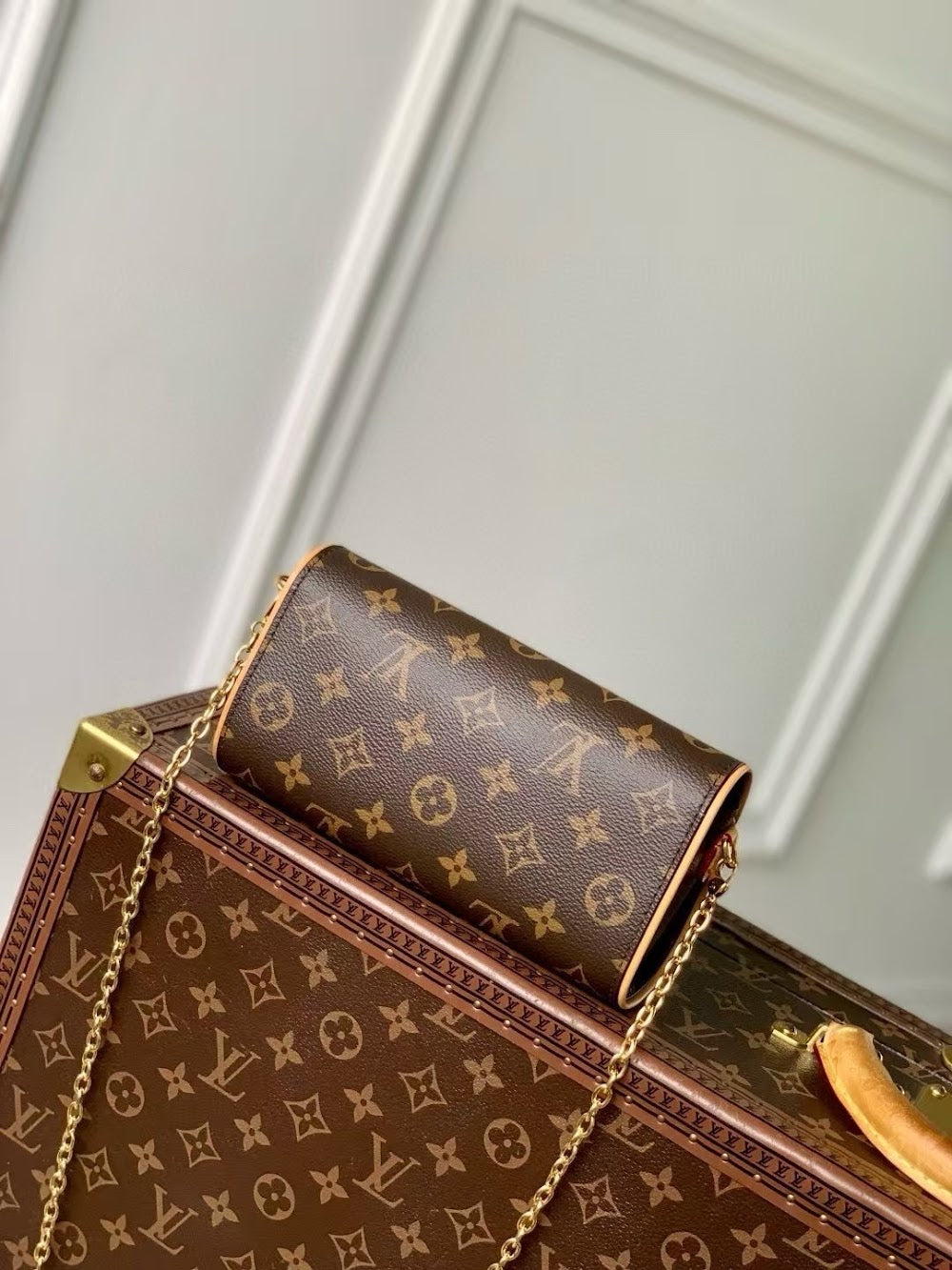 Dragons Bags LVn Luxury Bag --81152