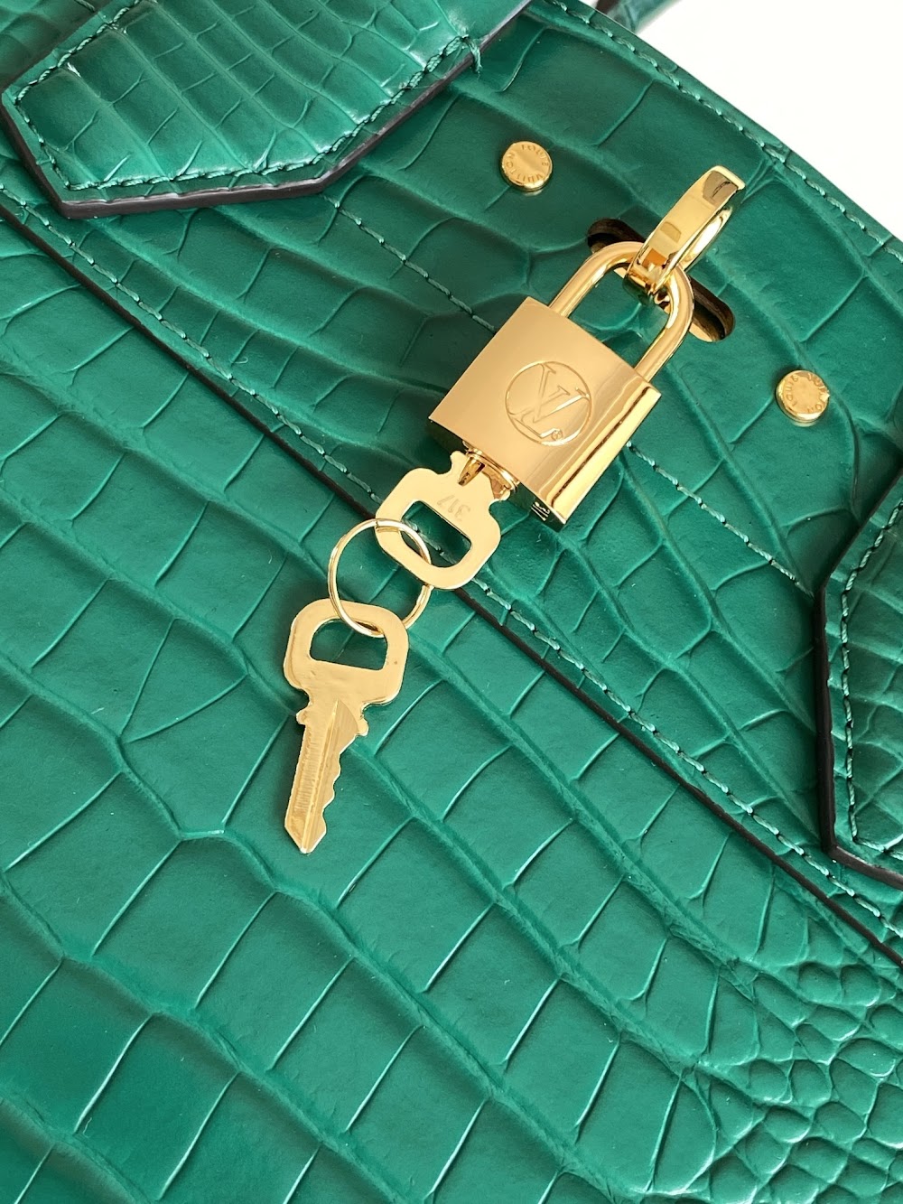 Dragons Bags ln Luxury Bag --96198