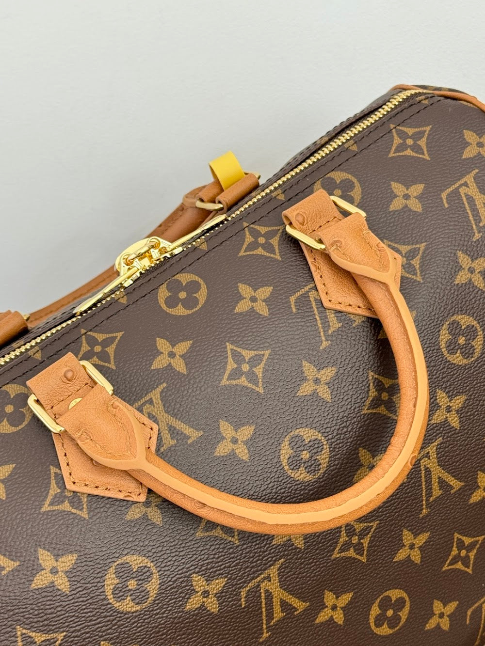 Dragons Bags ln Luxury Bag --96287