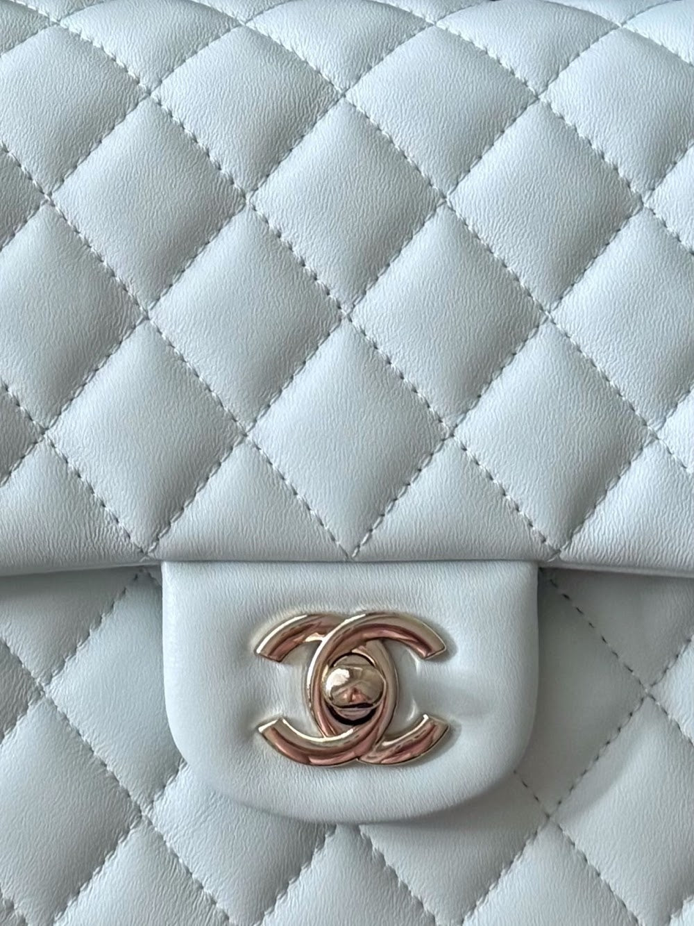 Dragons Bags CHn Luxury Bag --112964
