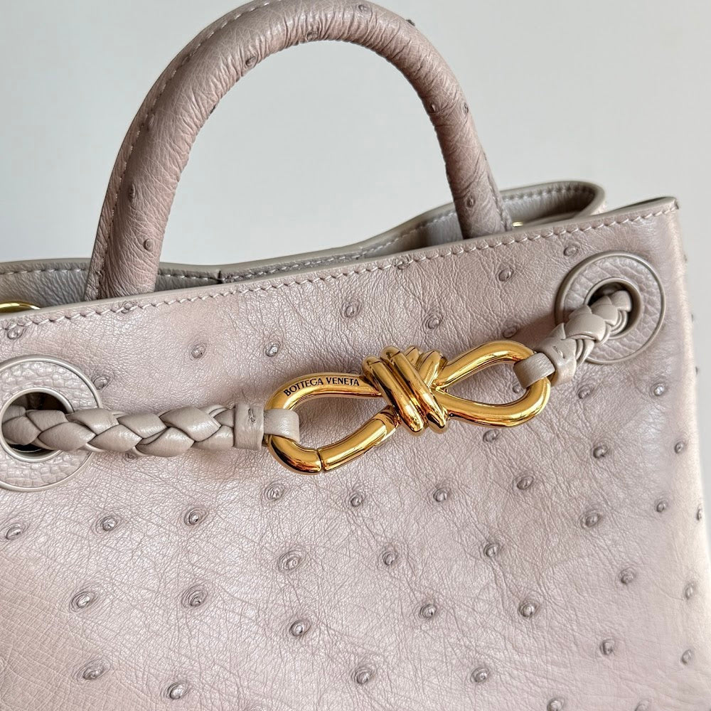Dragons Bags Bottegan Luxury Bag --91318