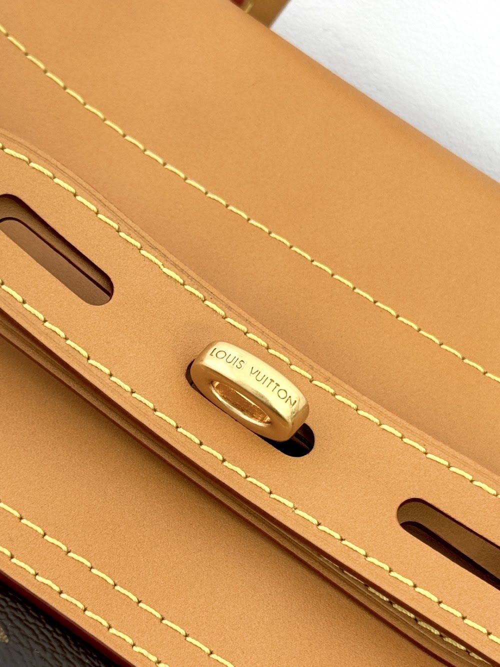 Dragons Bags ln Luxury Bag --96300