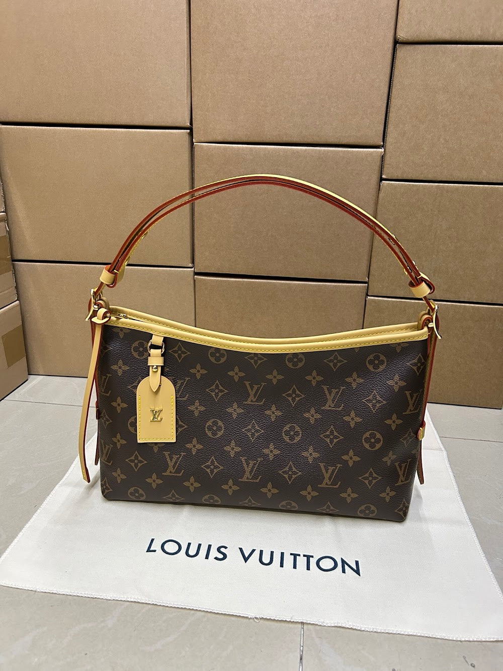 Dragons Bags ln Luxury Bag --96018