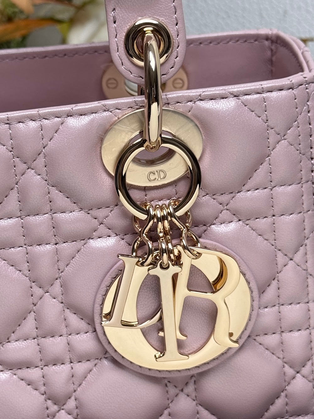 Dragons BagsDiorn Luxury Bag --116014