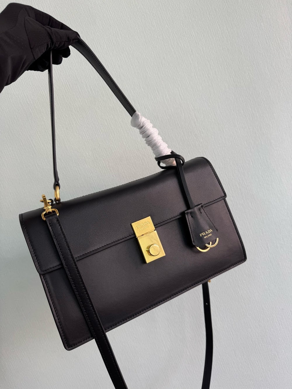 Dragons Bags Pradn Luxury Bag --102547