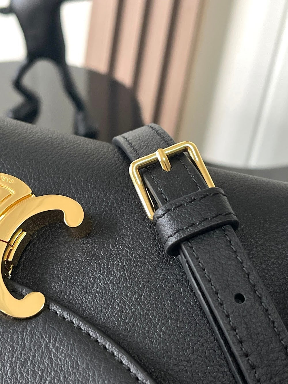 Dragons Bags Celine Luxury Bag --112359