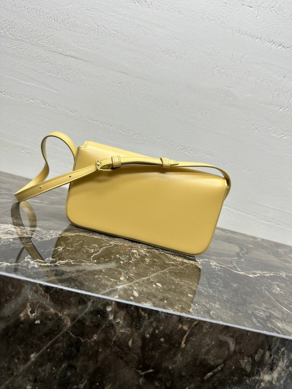 Dragons Bags Celine Luxury Bag --112424
