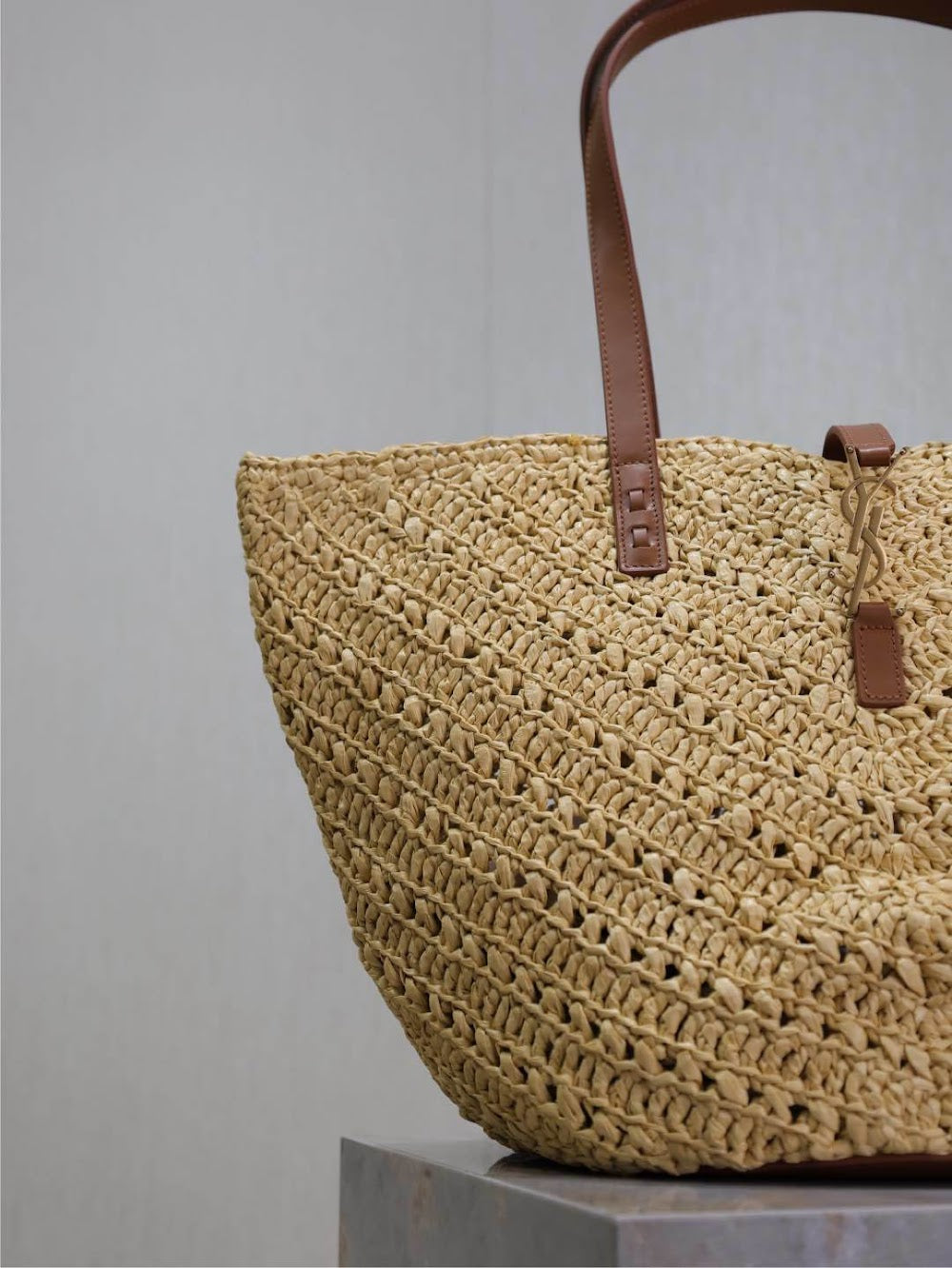 Dragons Bags YSLn Luxury Bag --120227