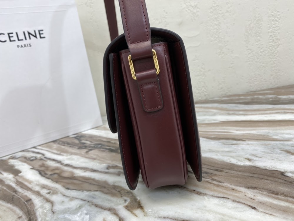 Dragons Bags Celine Luxury Bag --112456