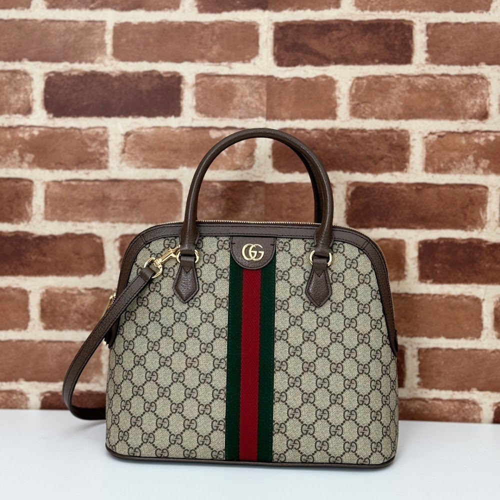Dragons Bags Guccin Luxury Bag --94741