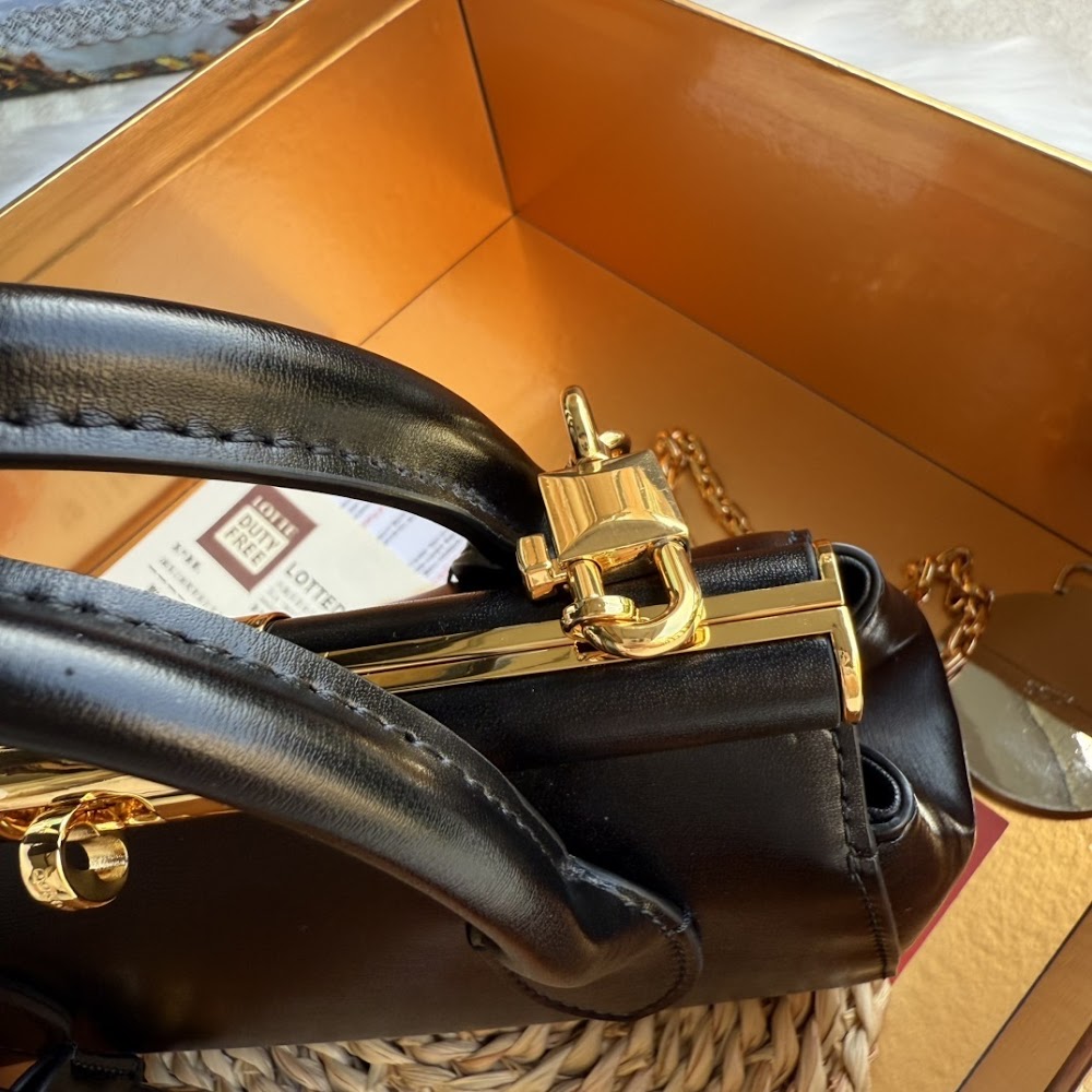 Dragons Bags DGn Luxury Bag --94066