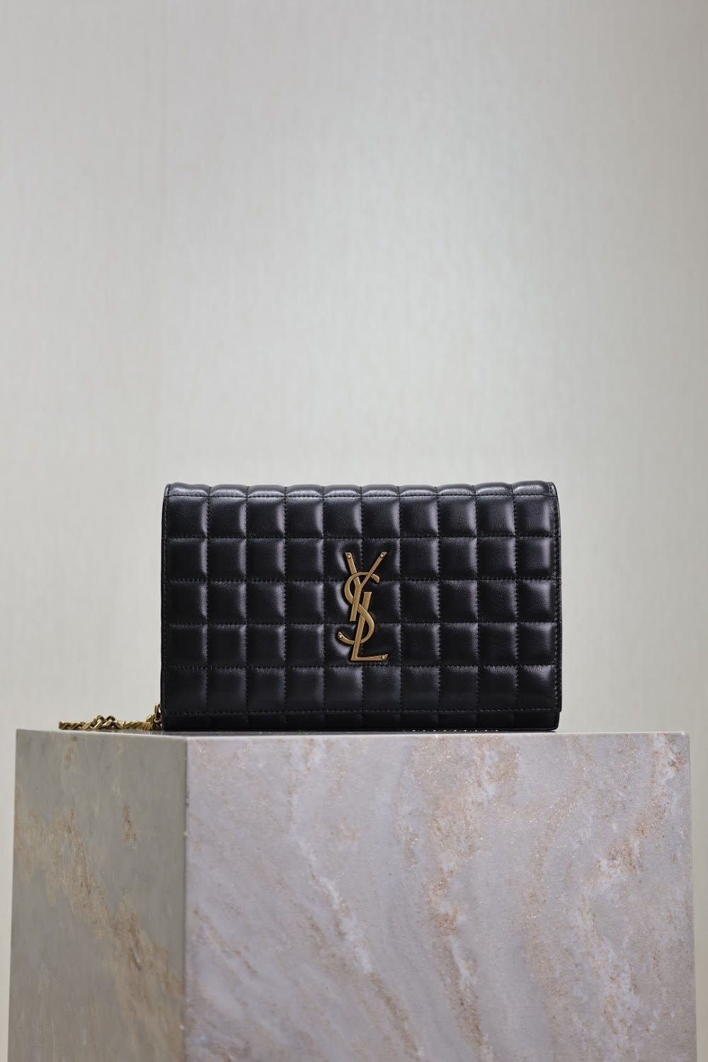 Dragons Bags YSLn Luxury Bag --119663