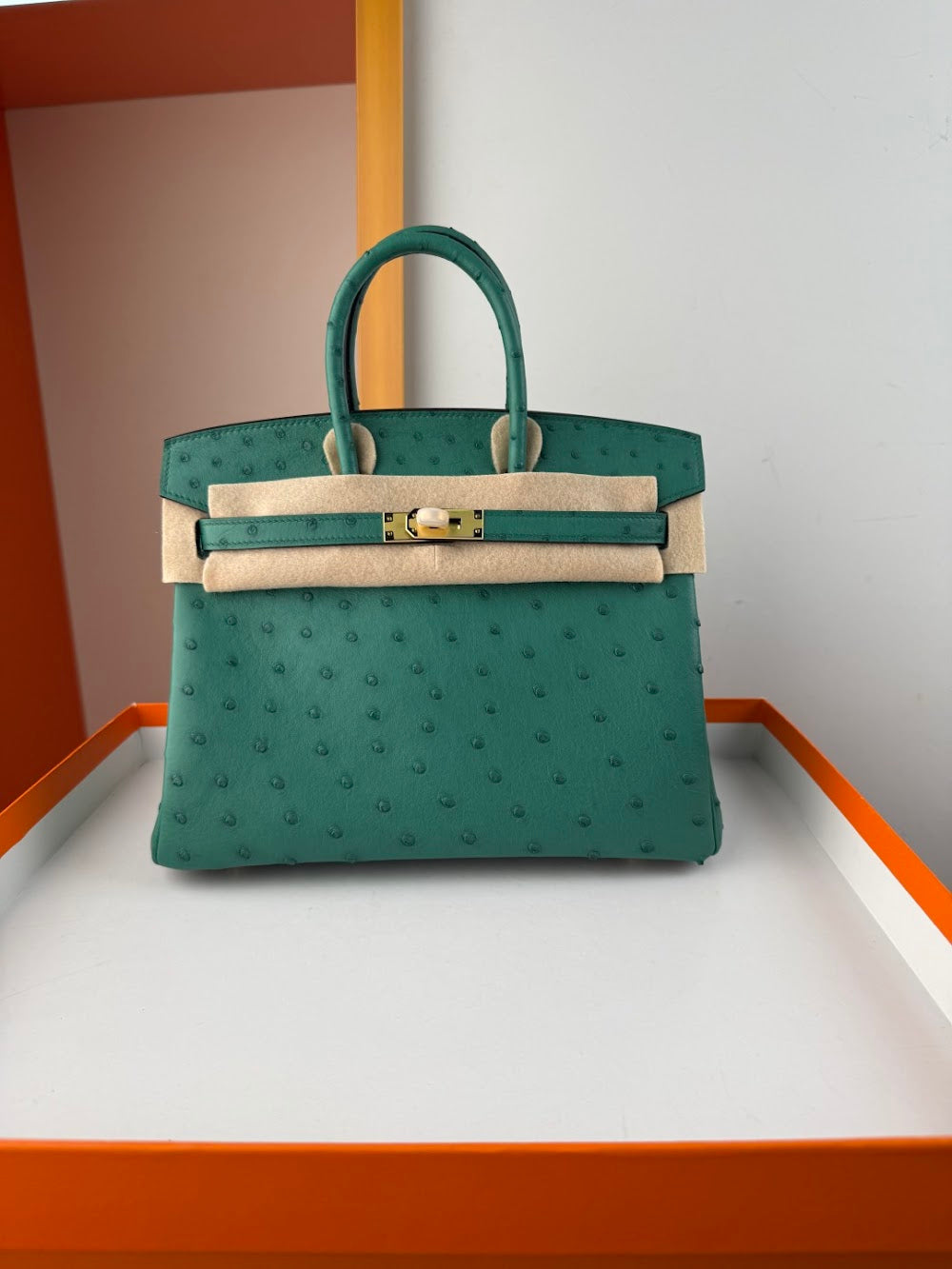 Dragons BagsHermesn Luxury Bag --116757