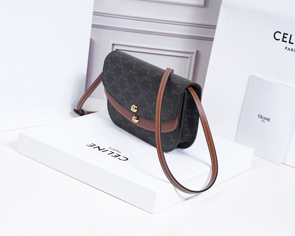 Dragons Bags Celine Luxury Bag --112596