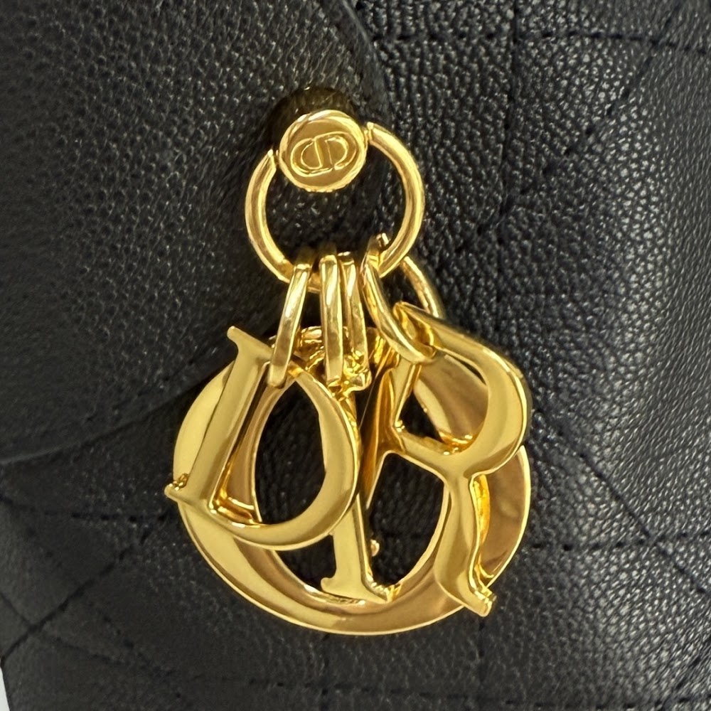 Dragons BagsDiorn Luxury Bag --115651