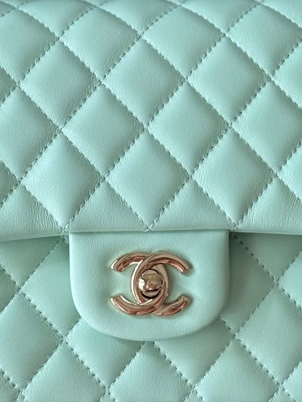 Dragons Bags CHn Luxury Bag --112989