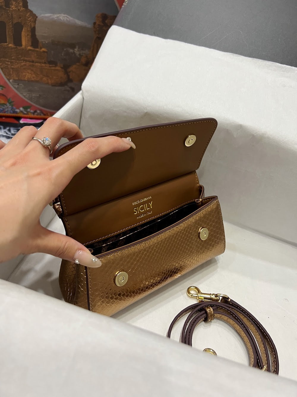 Dragons Bags DGn Luxury Bag --93659