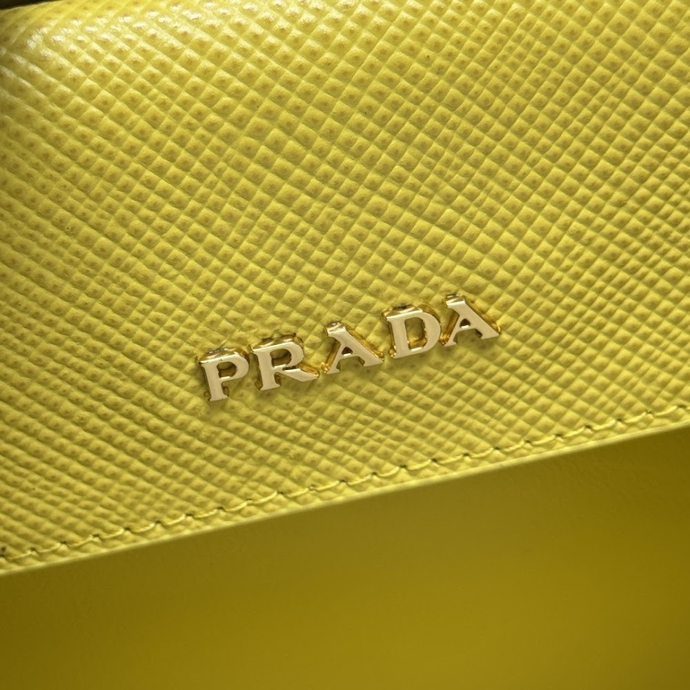 Dragons Bags Pradn Luxury Bag --102318