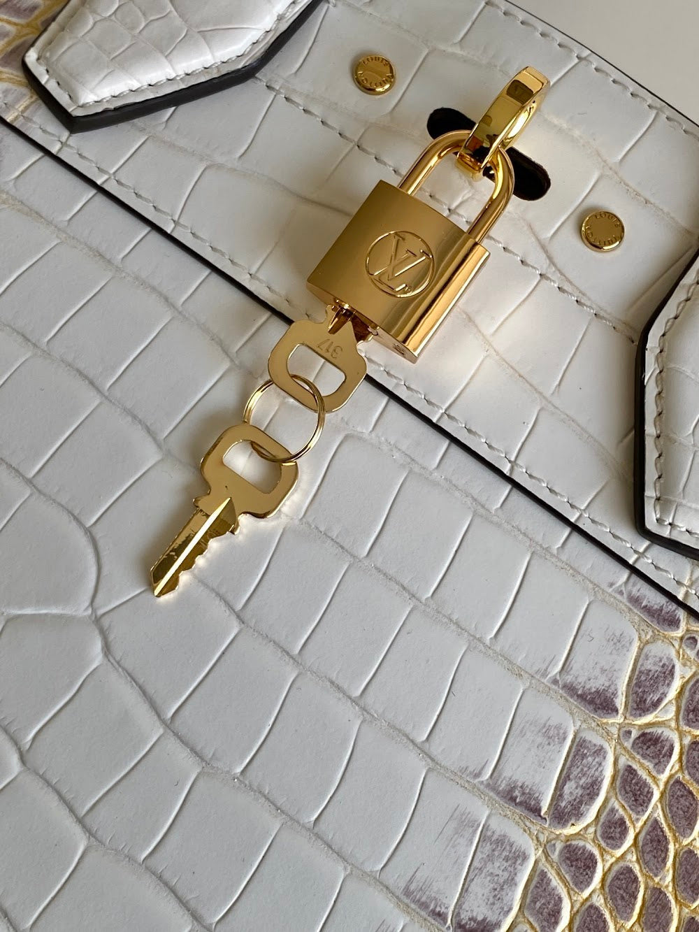 Dragons Bags ln Luxury Bag --96208