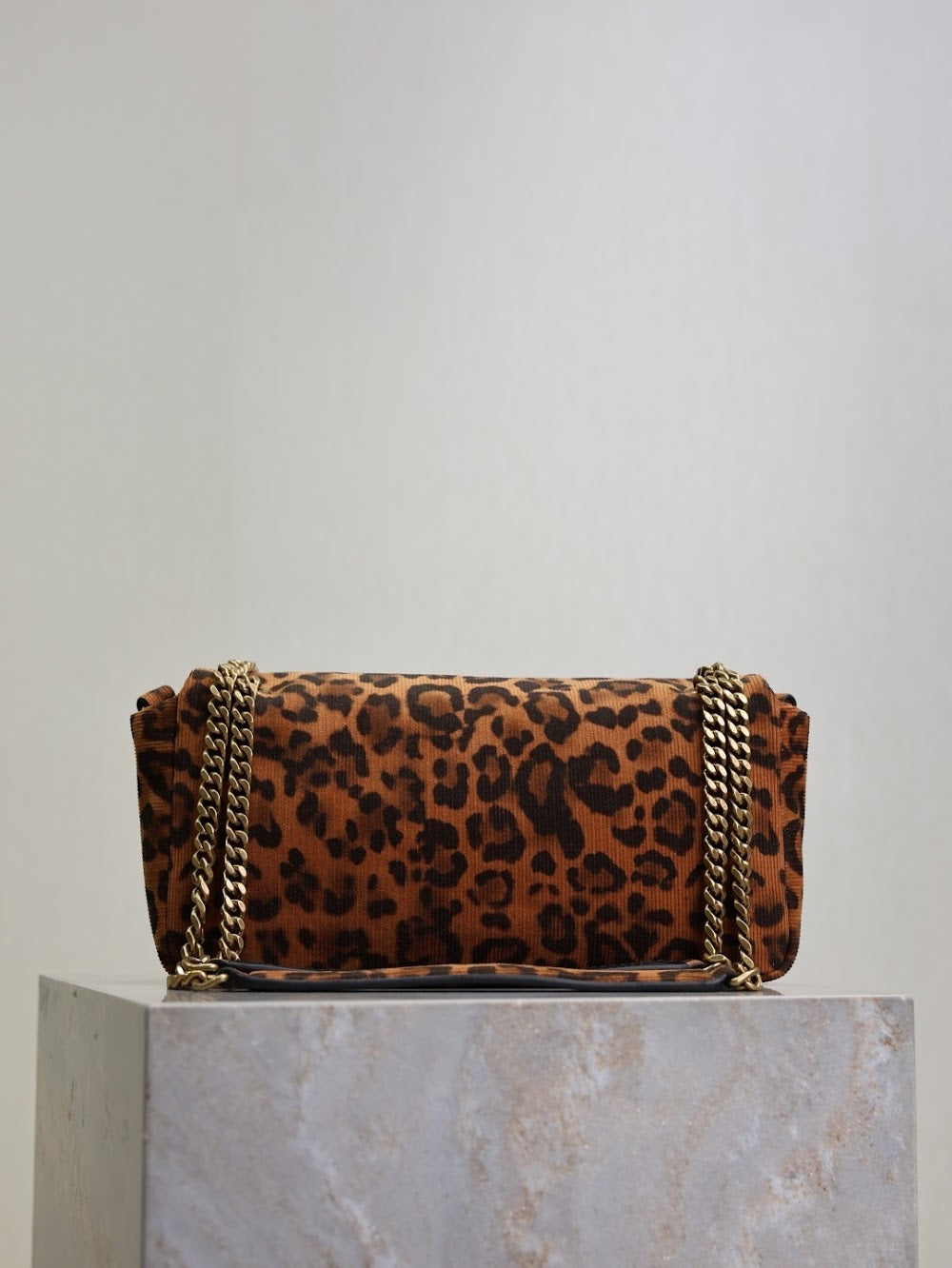 Dragons Bags YSLn Luxury Bag --119551