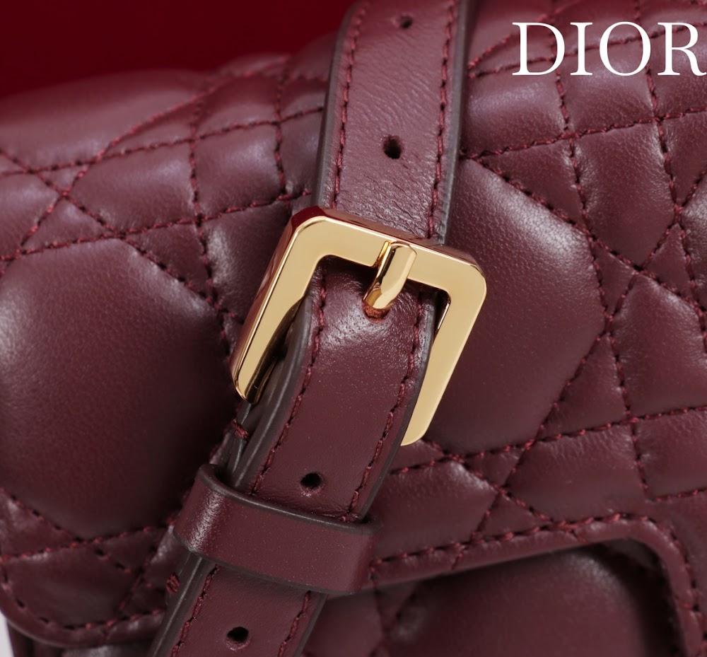 Dragons BagsDiorn Luxury Bag --116379