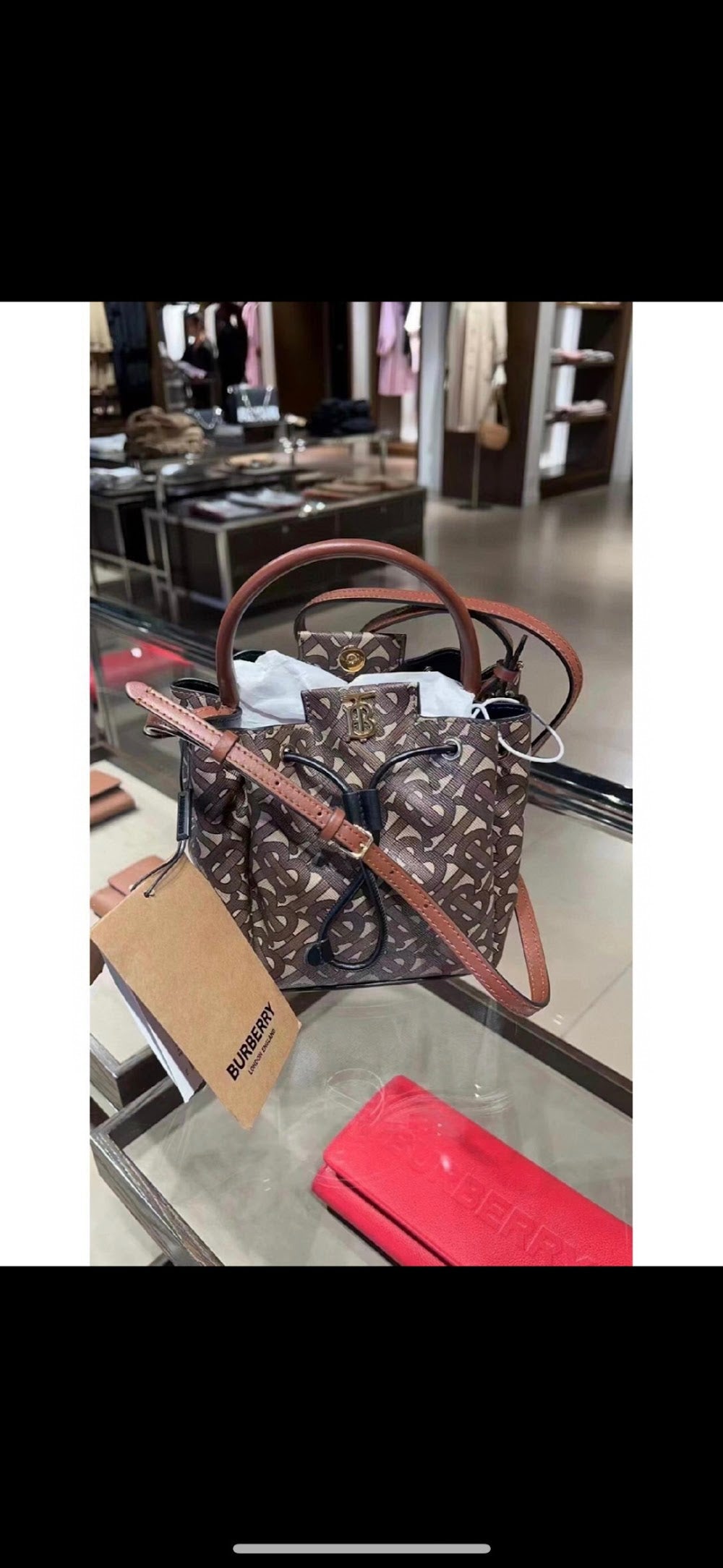 Dragons Bags Burberryn Luxury Bag --91630