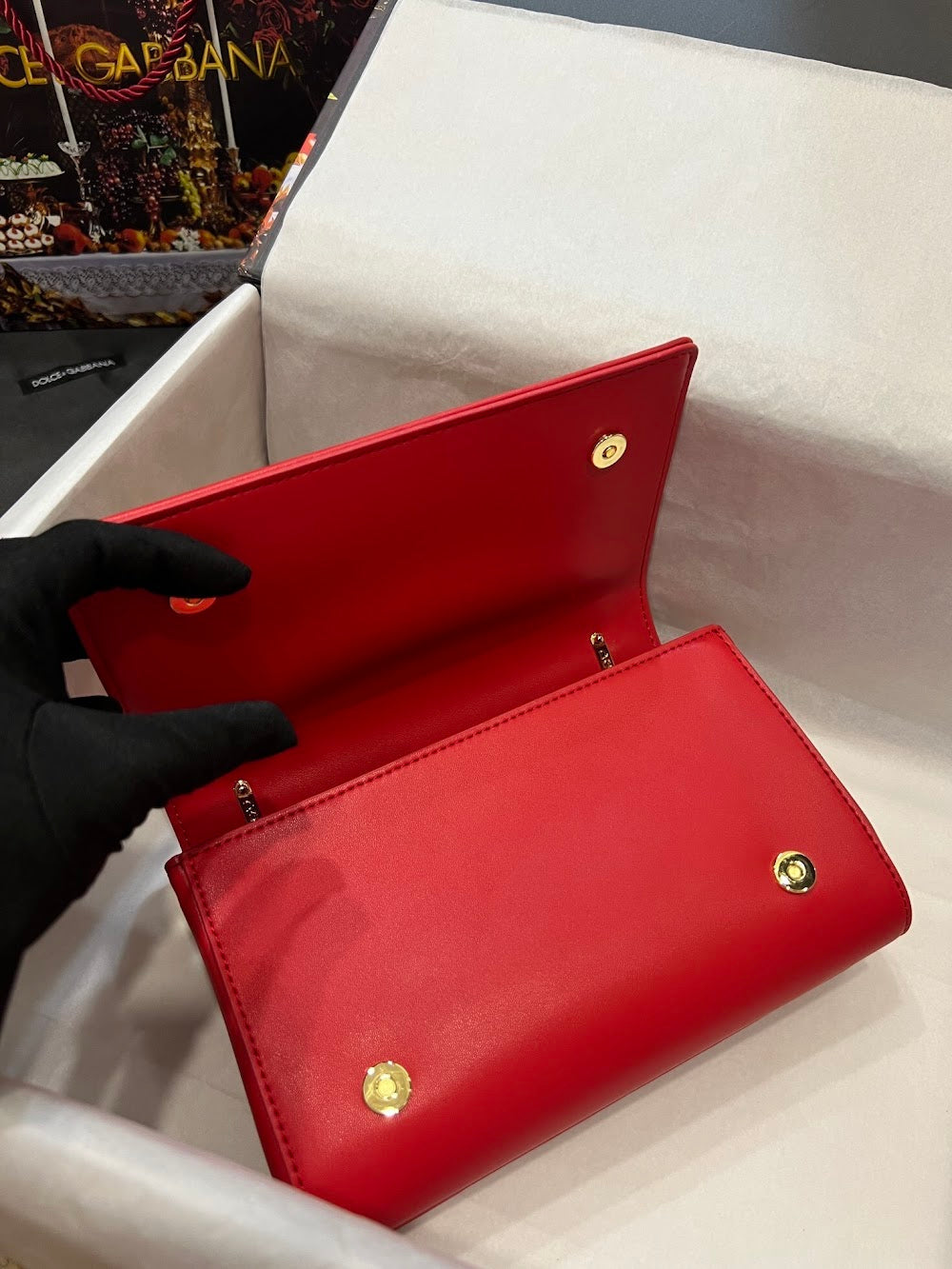 Dragons Bags DGn Luxury Bag --93877