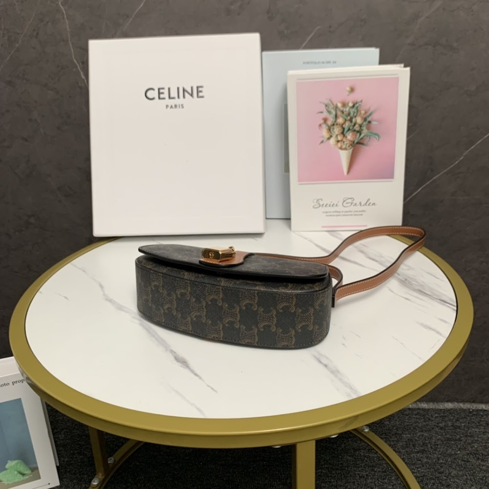Dragons Bags Celine Luxury Bag --112165