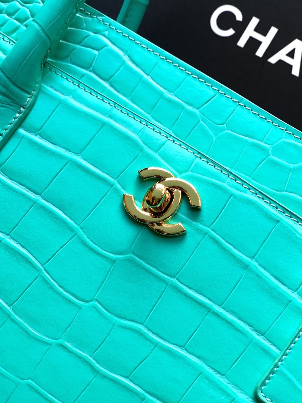 Dragons Bags CHn Luxury Bag --112792