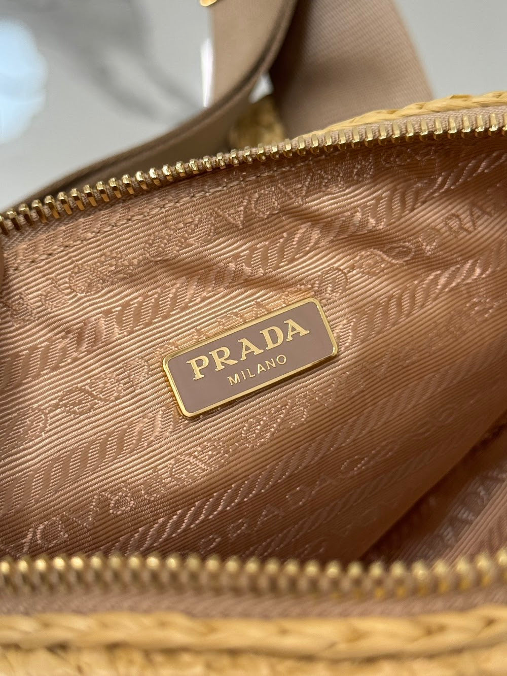 Dragons Bags Pradn Luxury Bag --102048