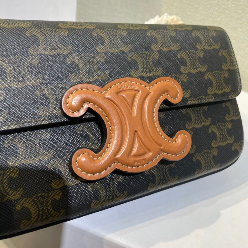 Dragons Bags Celine Luxury Bag --112644