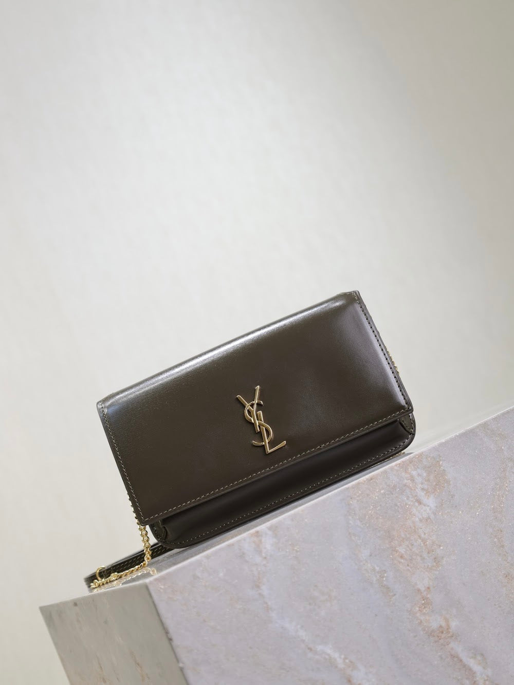 Dragons Bags YSLn Luxury Bag --120482