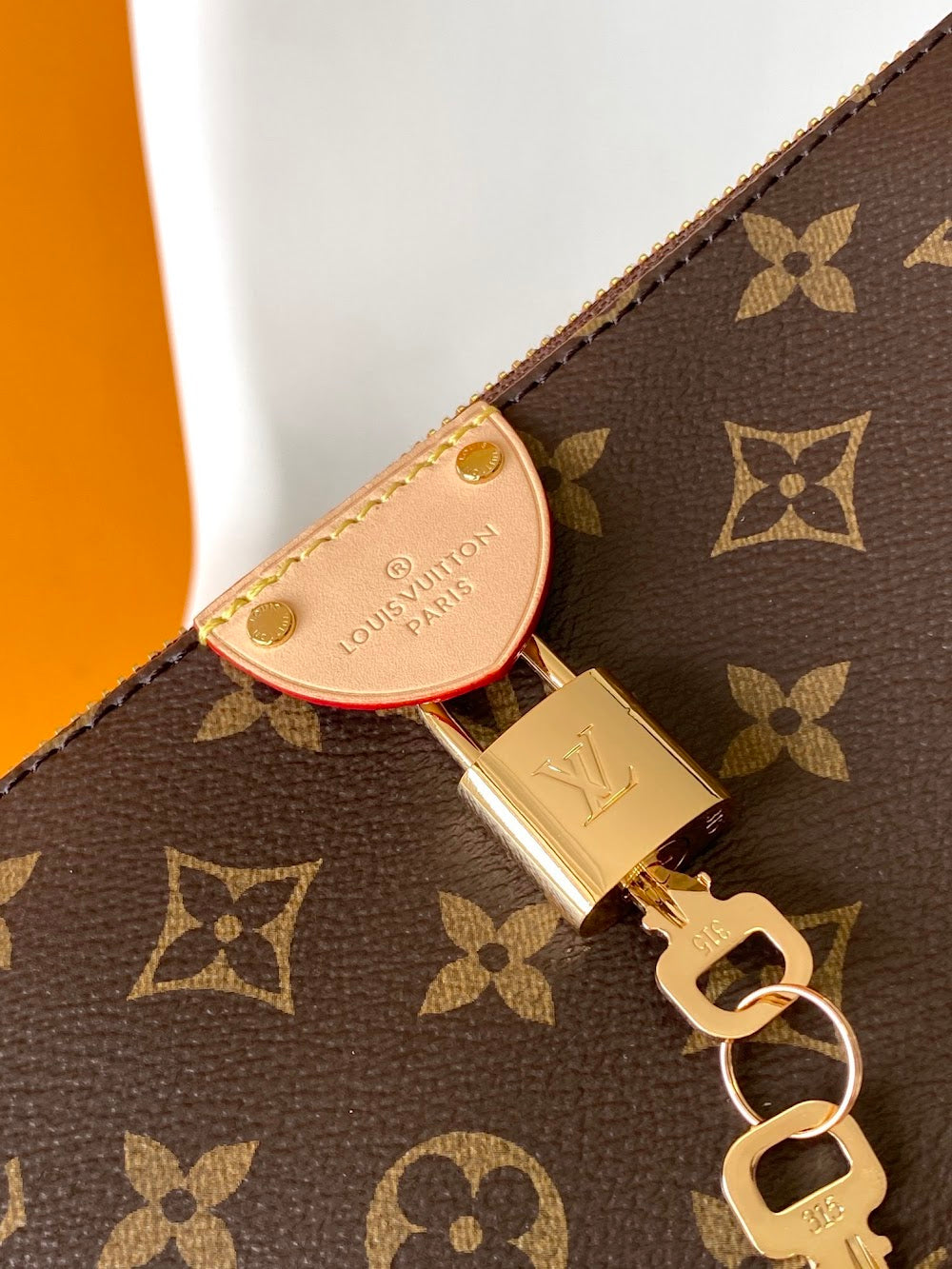 Dragons Bags LVn Luxury Bag --78995