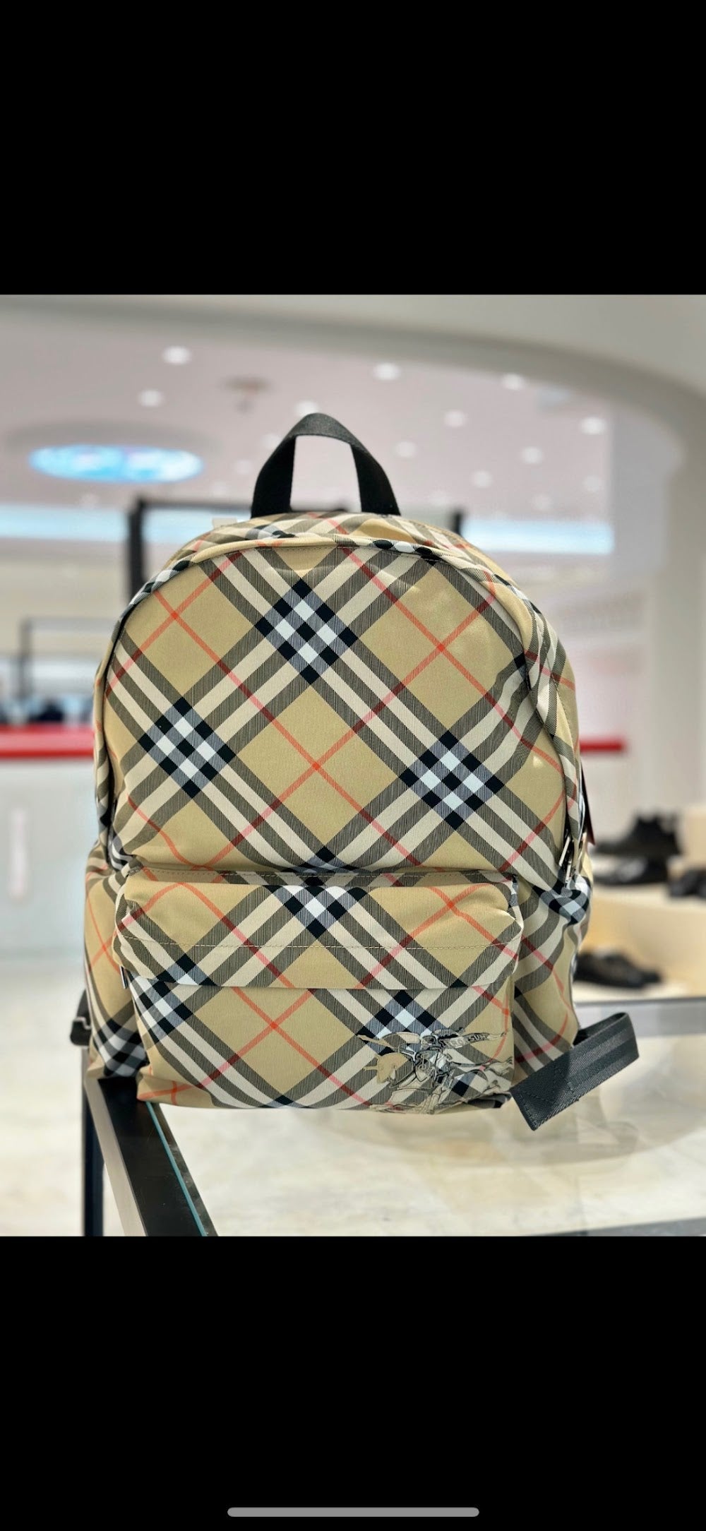 Dragons Bags Burberryn Luxury Bag --93111