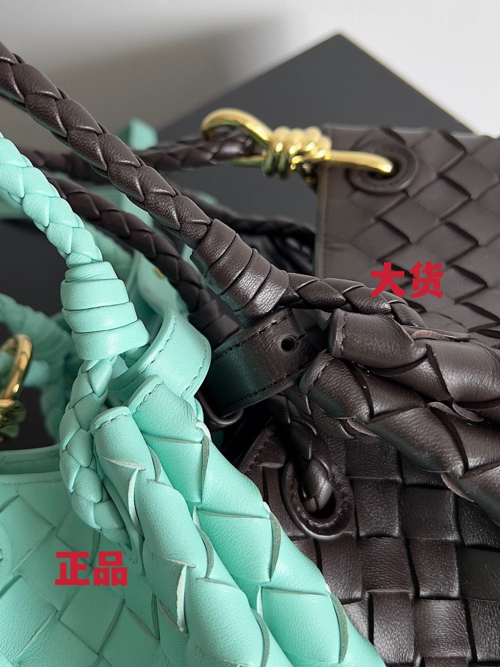 Dragons Bags Bottegan Luxury Bag --91093