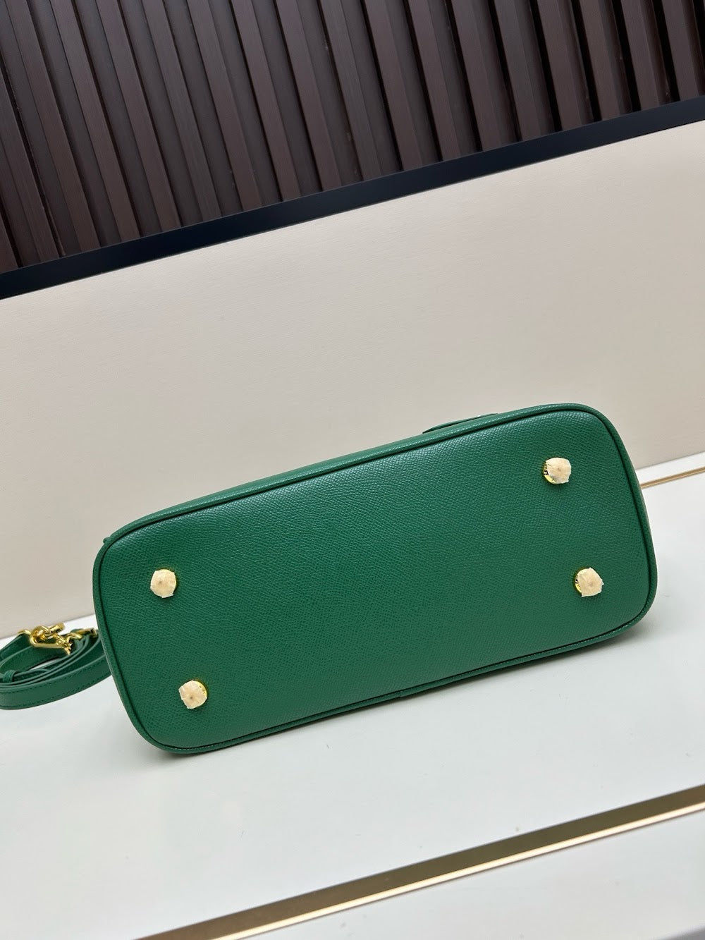 Dragons Bags pradn Luxury Bag --74306