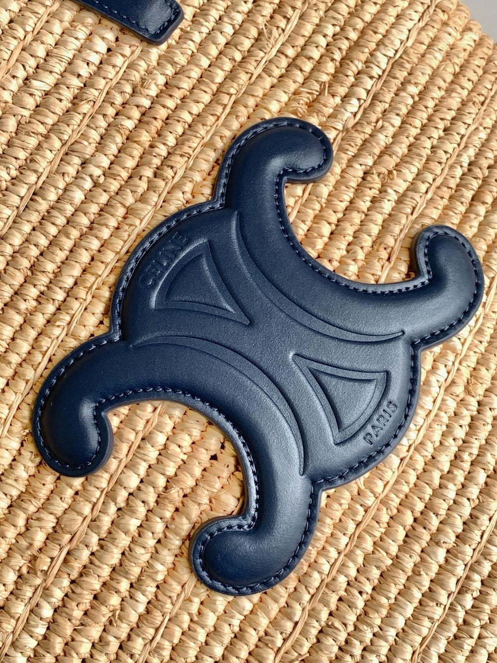 Dragons Bags Celine Luxury Bag --112073