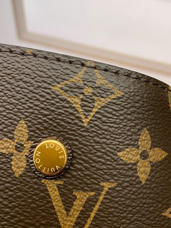 Dragons Bags ln Luxury Bag --59704