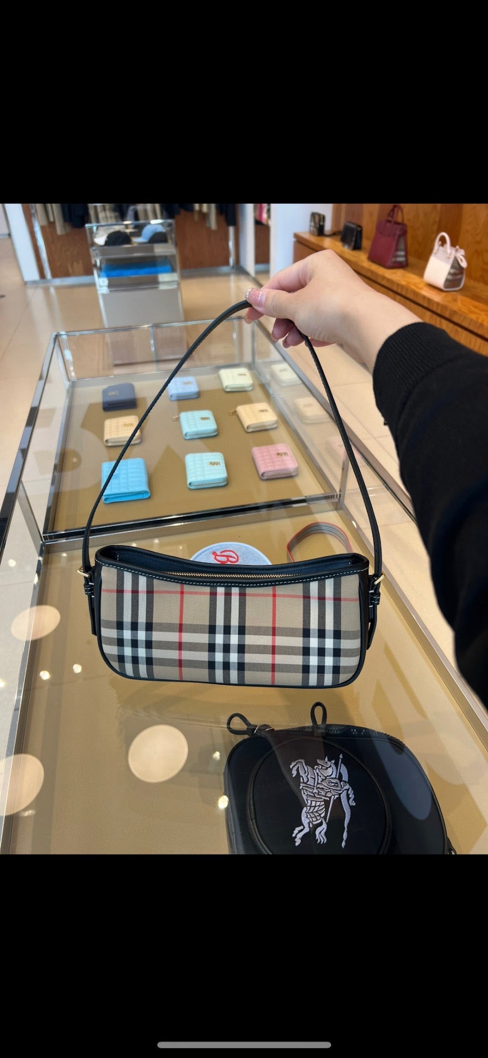 Dragons Bags Burberryn Luxury Bag --92049